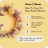 How To Look After Your Dried Flowers How to care for your dried flowers guide