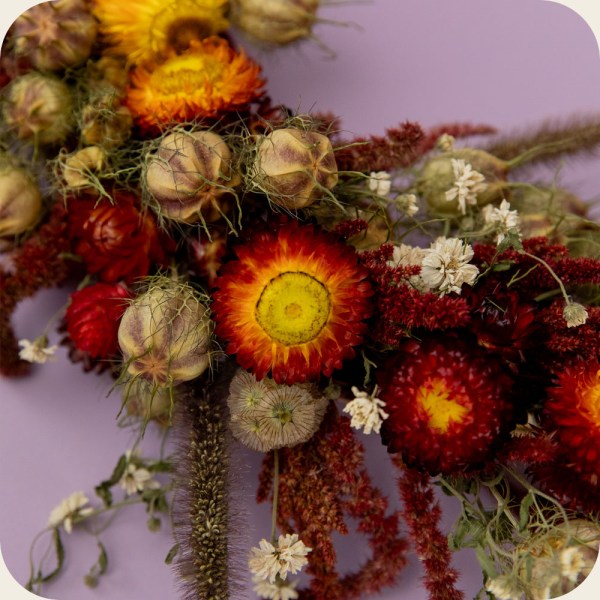 Red rustic dried flower wreath Red rustic dried flower wreath. Gorgeous handmade autumnal floral wall décor
