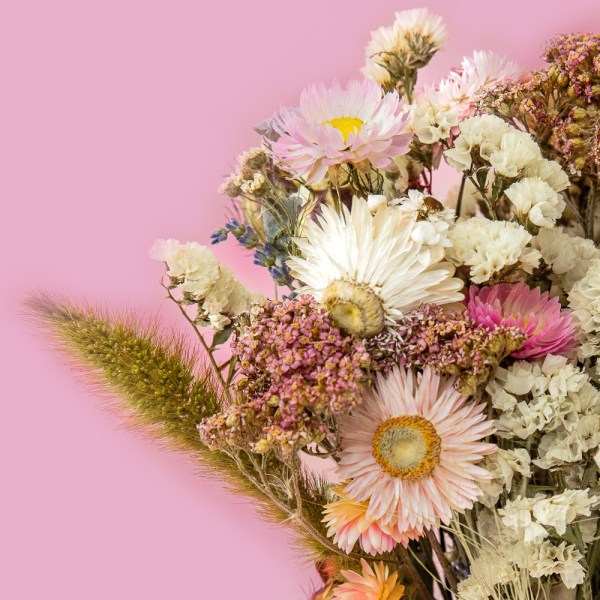 Dried Flower Bridesmaid Bouquet Dried Bridesmaid Bouquet. Bridesmaid and maid of honour bouquet with preserved white and neutral dried flowers and soft light-pink accents, tied with a gorgeous ivory ribbon
