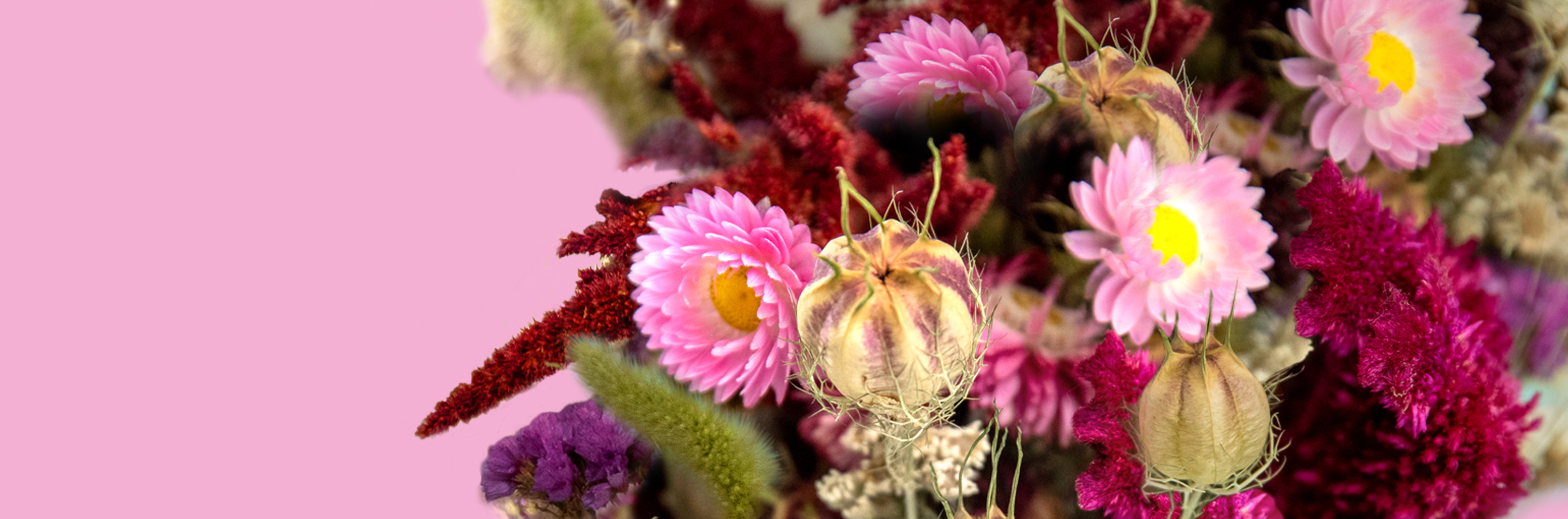 Valentine's day dried flowers banner. Gorgeous red and pink floral bouquet perfect for valentines day to show you care. Long-lasting and full of meaning, love and sentiment. Romantic flower gifts.