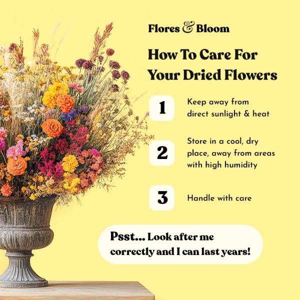Flores & Bloom care guide graphic showing a colourful dried flower bouquet beside instructions on how to look after dried flowers, including keeping them away from sunlight, heat and humidity