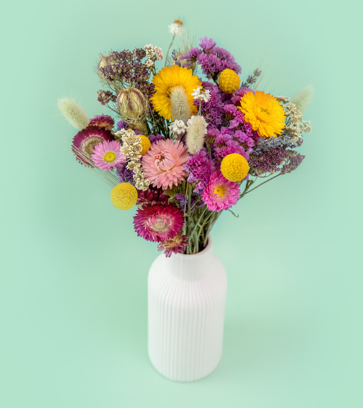 Birthday flower gifts banner. Bright and colourful dried flowers in a vase. Flores and Bloom. Dried flower gifts.