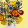 Colourful dried flower bouquet with red, orange, yellow, blue and white blooms against a soft yellow background