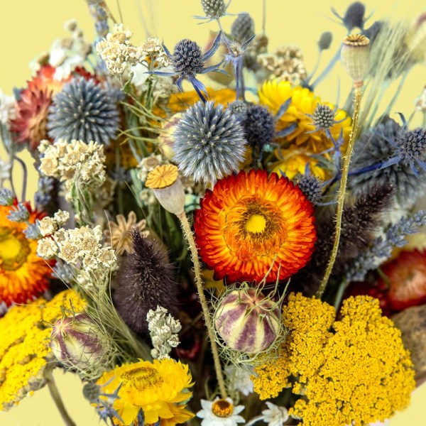 Colourful dried flower bouquet with yellow, orange, red, blue and white blooms in a close-up arrangement